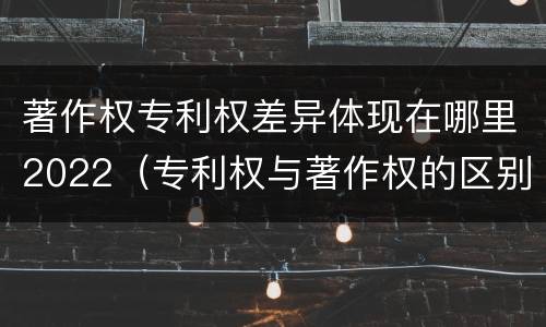 著作权专利权差异体现在哪里2022（专利权与著作权的区别与联系）
