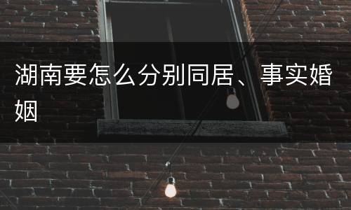湖南要怎么分别同居、事实婚姻