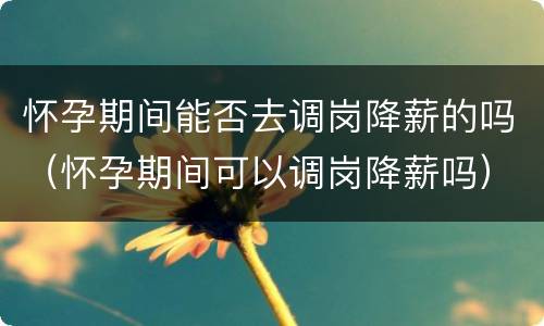 怀孕期间能否去调岗降薪的吗（怀孕期间可以调岗降薪吗）