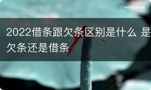 2022借条跟欠条区别是什么 是欠条还是借条