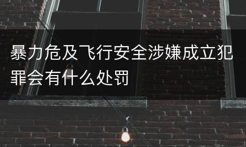 暴力危及飞行安全涉嫌成立犯罪会有什么处罚