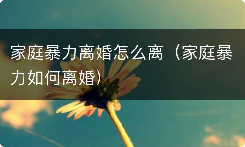 家庭暴力离婚怎么离（家庭暴力如何离婚）