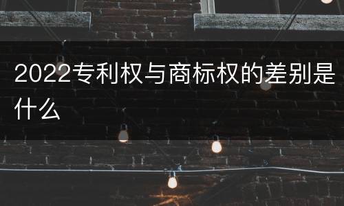 2022专利权与商标权的差别是什么