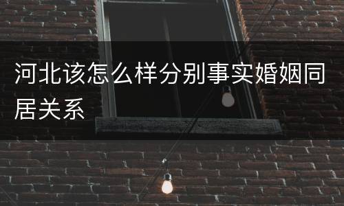 河北该怎么样分别事实婚姻同居关系