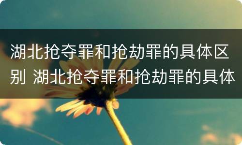 湖北抢夺罪和抢劫罪的具体区别 湖北抢夺罪和抢劫罪的具体区别在哪