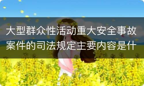 大型群众性活动重大安全事故案件的司法规定主要内容是什么