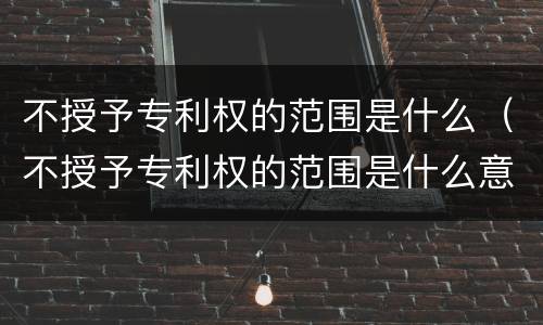 不授予专利权的范围是什么（不授予专利权的范围是什么意思）