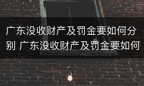 广东没收财产及罚金要如何分别 广东没收财产及罚金要如何分别处理