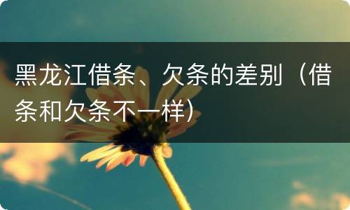 黑龙江借条、欠条的差别（借条和欠条不一样）