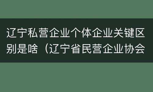 辽宁私营企业个体企业关键区别是啥（辽宁省民营企业协会是什么性质）