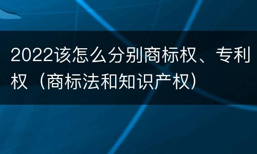2022该怎么分别商标权、专利权（商标法和知识产权）