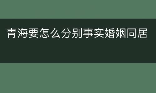 青海要怎么分别事实婚姻同居