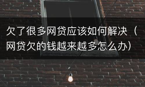 欠了很多网贷应该如何解决（网贷欠的钱越来越多怎么办）