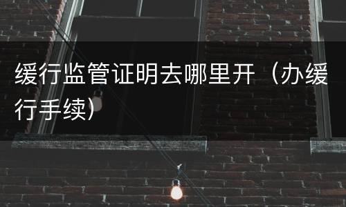 缓行监管证明去哪里开（办缓行手续）
