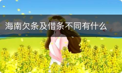 海南欠条及借条不同有什么
