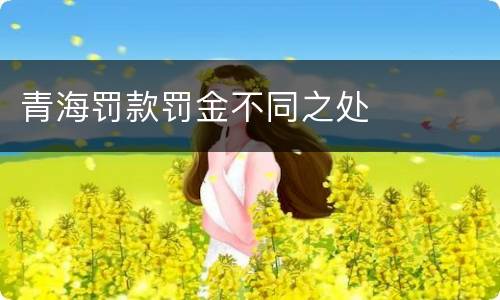 青海罚款罚金不同之处