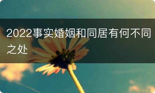 2022事实婚姻和同居有何不同之处