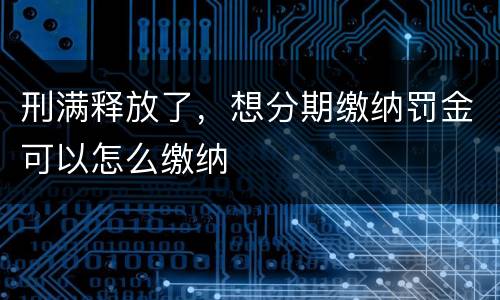 刑满释放了，想分期缴纳罚金可以怎么缴纳