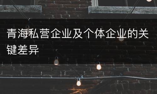 青海私营企业及个体企业的关键差异