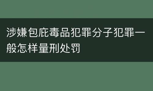 涉嫌包庇毒品犯罪分子犯罪一般怎样量刑处罚