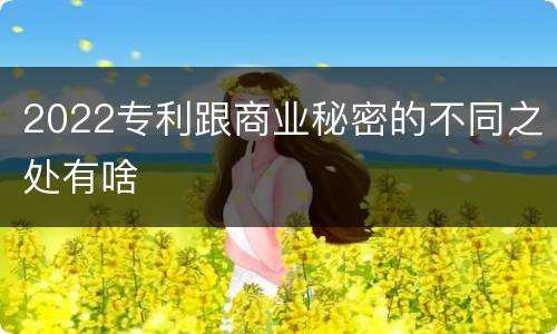 2022专利跟商业秘密的不同之处有啥