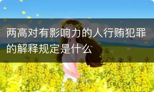 两高对有影响力的人行贿犯罪的解释规定是什么