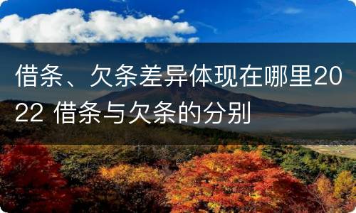 借条、欠条差异体现在哪里2022 借条与欠条的分别