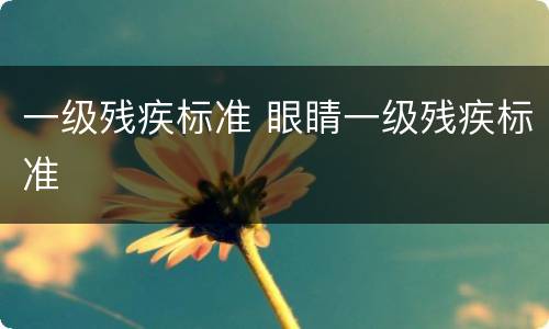 一级残疾标准 眼睛一级残疾标准