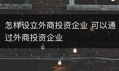 怎样设立外商投资企业 可以通过外商投资企业