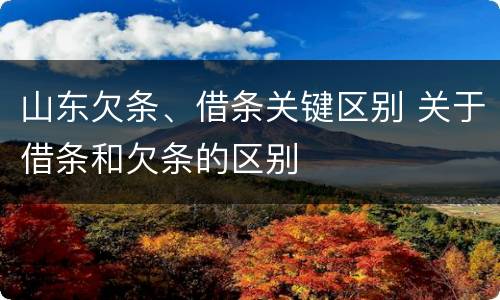 山东欠条、借条关键区别 关于借条和欠条的区别