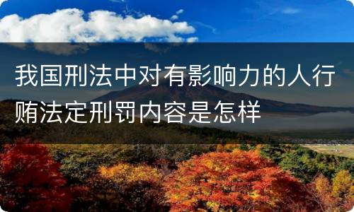 我国刑法中对有影响力的人行贿法定刑罚内容是怎样