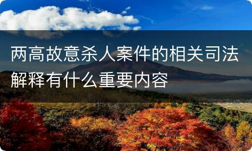 两高故意杀人案件的相关司法解释有什么重要内容
