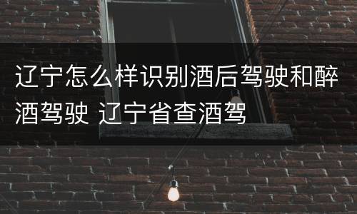 辽宁怎么样识别酒后驾驶和醉酒驾驶 辽宁省查酒驾