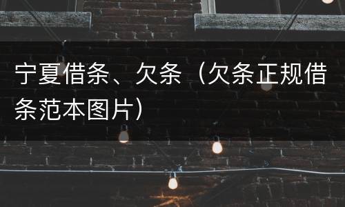 宁夏借条、欠条（欠条正规借条范本图片）