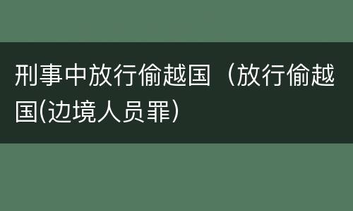 刑事中放行偷越国（放行偷越国(边境人员罪）