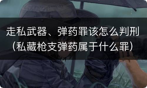 走私武器、弹药罪该怎么判刑（私藏枪支弹药属于什么罪）