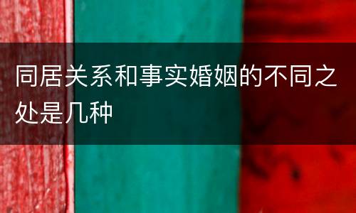 同居关系和事实婚姻的不同之处是几种