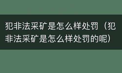 犯非法采矿是怎么样处罚（犯非法采矿是怎么样处罚的呢）