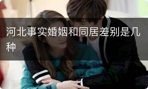 河北事实婚姻和同居差别是几种