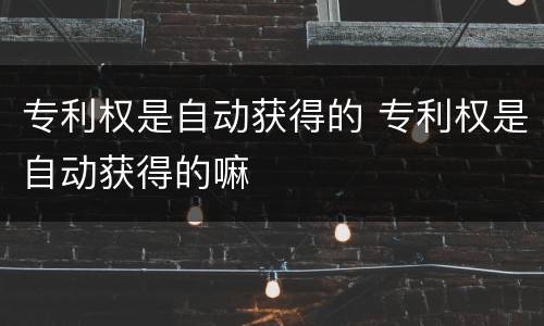 专利权是自动获得的 专利权是自动获得的嘛