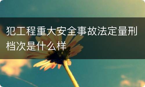 犯工程重大安全事故法定量刑档次是什么样