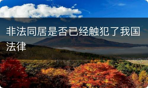非法同居是否已经触犯了我国法律