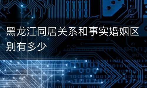黑龙江同居关系和事实婚姻区别有多少