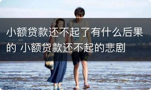 小额贷款还不起了有什么后果的 小额贷款还不起的悲剧