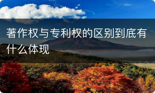 著作权与专利权的区别到底有什么体现