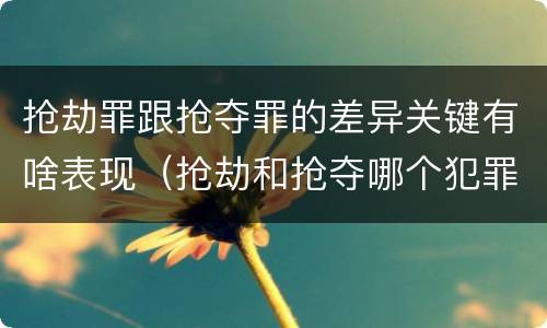 抢劫罪跟抢夺罪的差异关键有啥表现（抢劫和抢夺哪个犯罪性质严重）