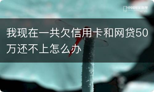 我现在一共欠信用卡和网贷50万还不上怎么办
