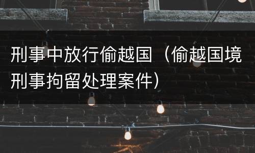 刑事中放行偷越国（偷越国境刑事拘留处理案件）