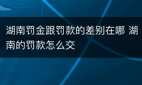湖南罚金跟罚款的差别在哪 湖南的罚款怎么交