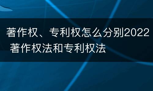 著作权、专利权怎么分别2022 著作权法和专利权法